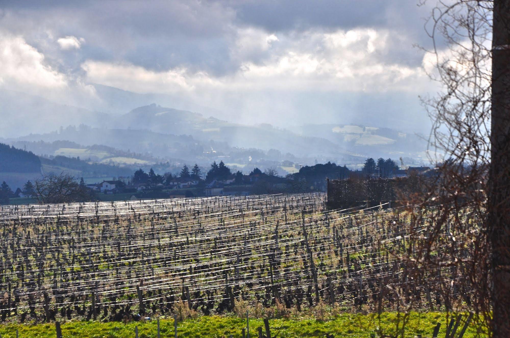 Le Clos Du Cher En Beaujolais Saint-Germain-Nuelles Екстер'єр фото