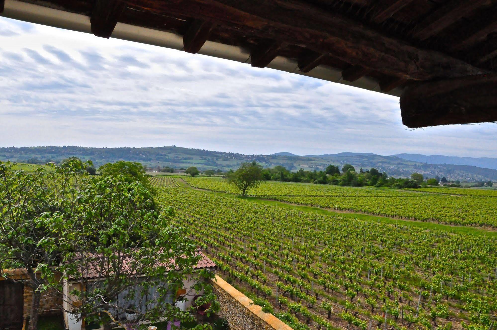 Le Clos Du Cher En Beaujolais Saint-Germain-Nuelles Екстер'єр фото