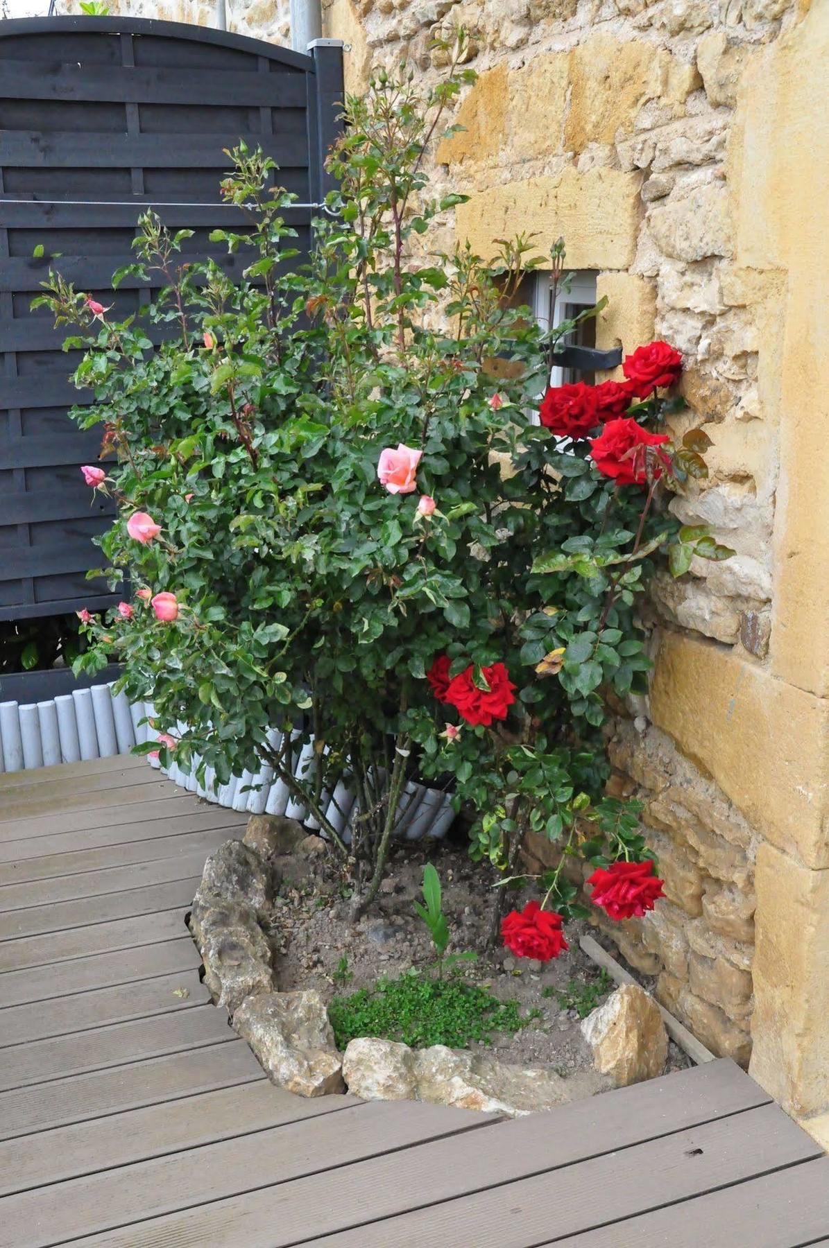 Le Clos Du Cher En Beaujolais Saint-Germain-Nuelles Екстер'єр фото