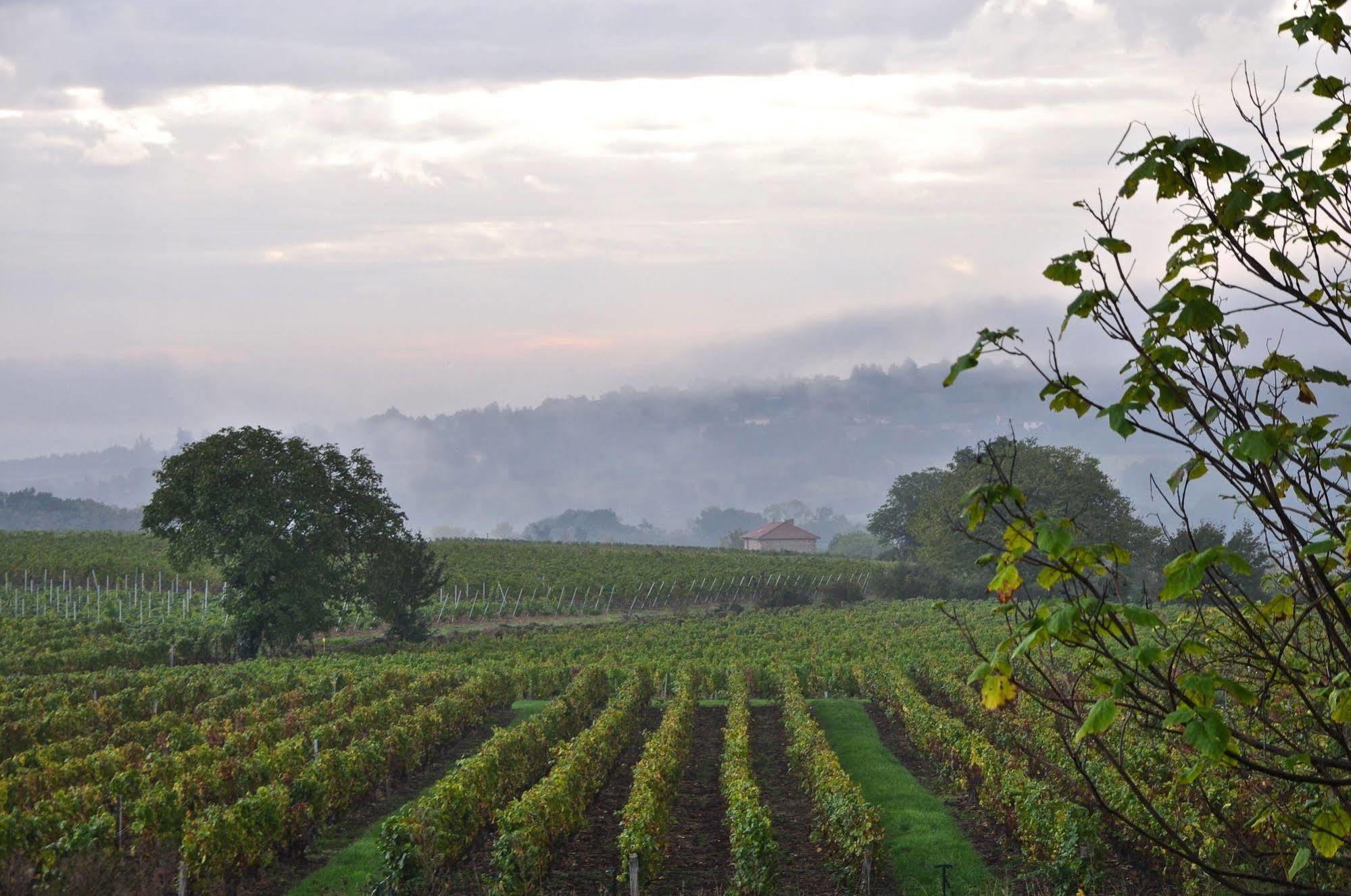 Le Clos Du Cher En Beaujolais Saint-Germain-Nuelles Екстер'єр фото