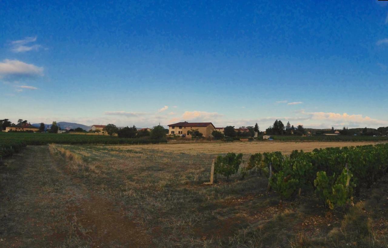 Le Clos Du Cher En Beaujolais Saint-Germain-Nuelles Екстер'єр фото