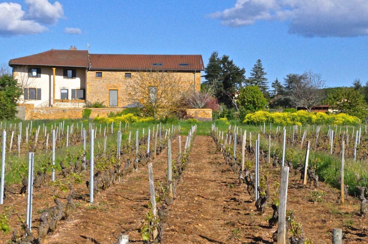Le Clos Du Cher En Beaujolais Saint-Germain-Nuelles Екстер'єр фото
